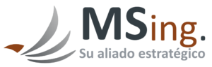 logo-MSING